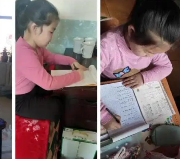 纳入安全提示实现“无死角”覆盖守护学生身心健康与生命安全 纳入安全提示实现“无死角”覆盖守护学生身心健康与生命安全